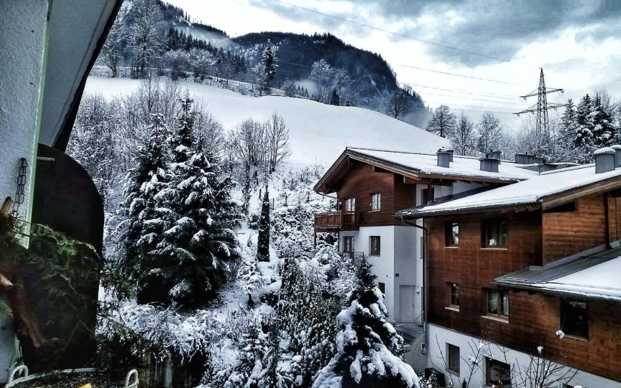 Moni Xxl 66m2 Apartment Kaprun
